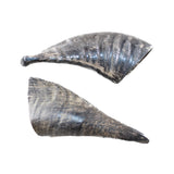 2 Small Polished Goat Horns #4651 Natural Colored