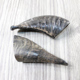 2 Small Polished Goat Horns #4651 Natural Colored