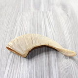 1 Sheep Horn  #1151 Natural Colored Polished Ram Horn