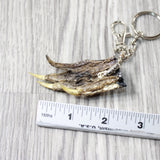 Small Alligator Foot Key Ring   #4051  Mountain Man Key Chain