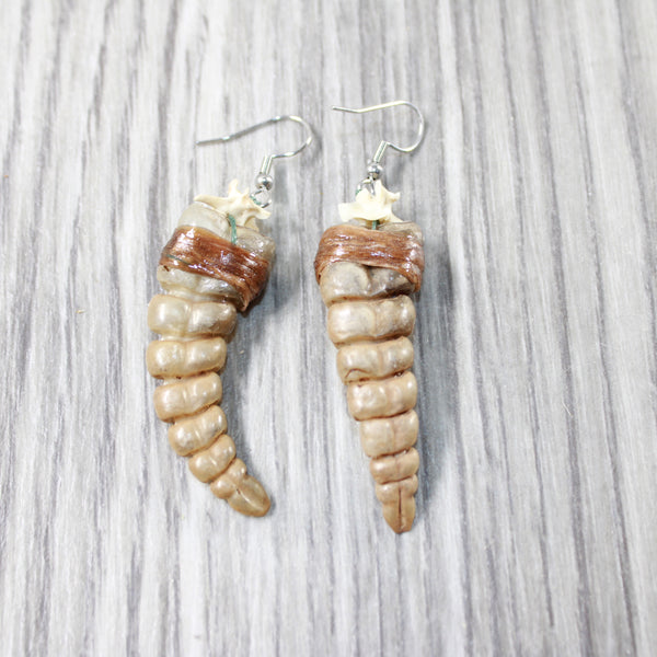 Rattlesnake Rattle Earrings  #4152  Mountain Man Earrings