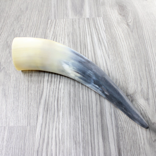 1 Raw Unfinished Cow Horn #3152 Natural Colored