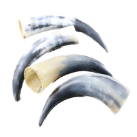 4 Raw Unfinished Cow Horns #8152 Natural Colored