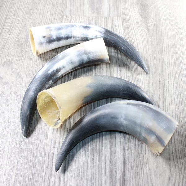 4 Raw Unfinished Cow Horns #8152 Natural Colored