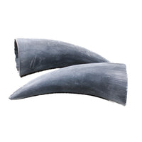 2 Small Raw Unfinished Cow Horns #3152 Natural Colored