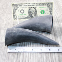 2 Small Raw Unfinished Cow Horns #3152 Natural Colored