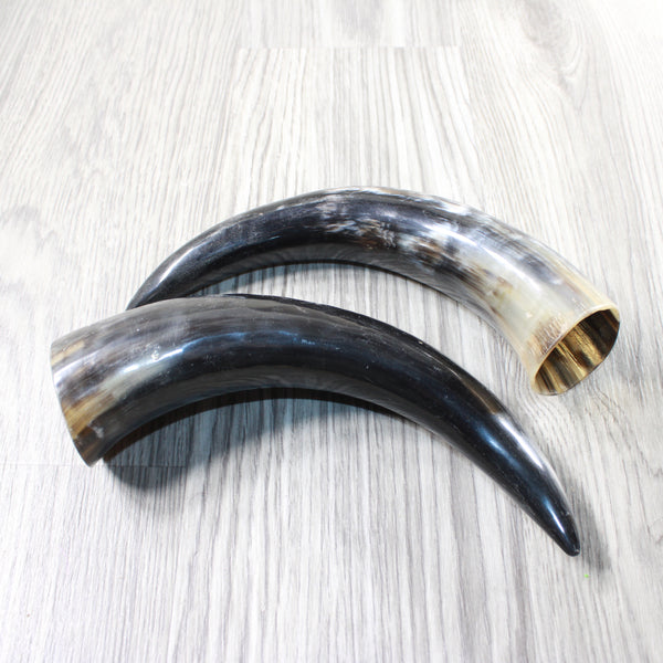 2 Polished Cow Horns #0552 Natural colored