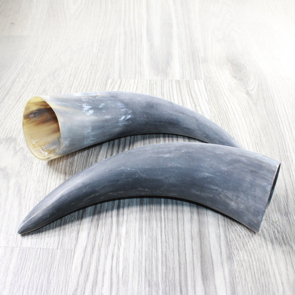 2 Raw Unfinished Cow Horns #6752 Natural Colored