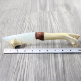 Deer Bone Handle Opalite Blade Ornamental Knife #4752 Mountain Man Knife