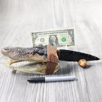 Alligator Head  Handle Obsidian Blade Ornamental Knife #7952 Mountain Man Knife