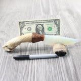 Coyote Foot Handle Opalite Blade Ornamental Knife #1252 Mountain Man Knife