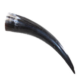 1 Polished Cow Horn #2552 Natural Colored