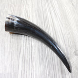 1 Polished Cow Horn #2552 Natural Colored