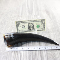 1 Polished Cow Horn #2552 Natural Colored