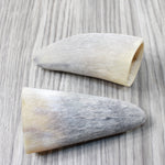 2 Raw Unfinished Cow Horn Tips #1853 Natural Colored