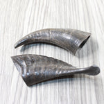 2 Small Polished Goat Horns #2053 Natural Colored