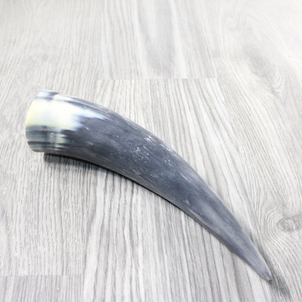 1 Raw Unfinished Cow Horn #4253 Natural Colored