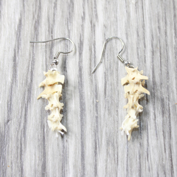 Rattlesnake Vertebrae  Earrings  #6253  Mountain Man Earrings