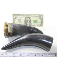 2 Small Polished Cow Horns #7631 Natural colored