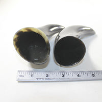 2 Small Polished Cow Horns #7631 Natural colored